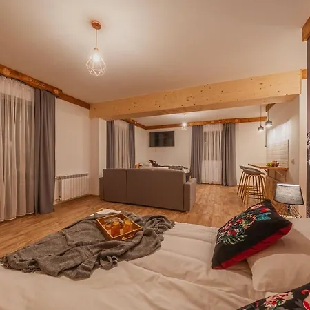 Olczanska Kotlina Apart&room Homestay Zakopane