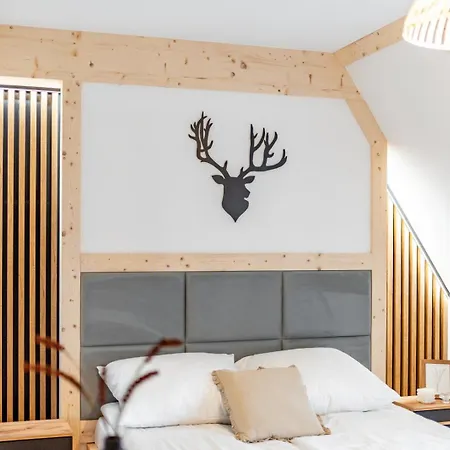 Olczańska Kotlina Apart&room Zakopane