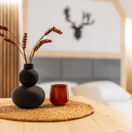 Olczańska Kotlina Apart&room * Zakopane
